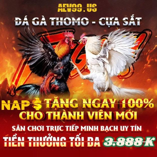 Kèo đá gà thơm